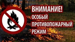 Особый противопожарный режим введён в Белгородской области