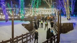 Более 70 тысяч человек посетили крупные катки Белгорода