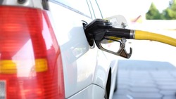 Народный фронт представил результаты мониторинга цен на топливо