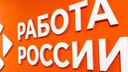 Службы занятости населения Белгородчины трудоустроили более 4 200 человек