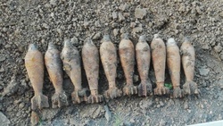 Очевидец обнаружил 10 артиллерийских снарядов в Дальней Игуменке Корочанского района