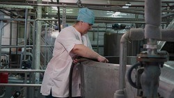 Первые итоги проекта «Производительность труда» подвели на Шебекинском маслодельном заводе 