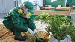 Корочанский сельхозтехникум стал призёром конкурса России по трудоустройству молодёжи