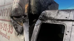 Более 170 БПЛА ВСУ атаковали Белгородскую область за сутки