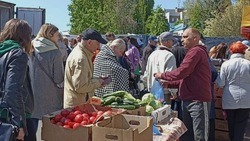 Белгородцы приобрели 15 тонн продукции на сельскохозяйственной ярмарке 7 мая