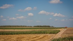 Белгородские аграрии получили более 2 млн тонн зерна