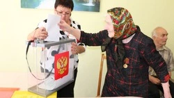 Корочанцы смогут проголосовать на выборах 2025 года на дому