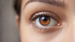 Морковка, отдых и зарядка. Врач Корочанской ЦРБ – о профилактике болезней глаз