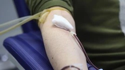 Неделя популяризации донорства крови проходит в Белгородской области