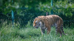 Зоопарк Белгорода открыл свои двери для посетителей в новом сезоне