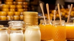Сельскохозяйственная ярмарка пройдёт в Короче 27 сентября