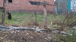 Материал