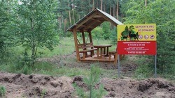 Белгородские власти продлили особый противопожарный режим на территории области до 28 августа