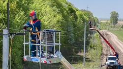 Белгородские энергетики отремонтировали тысячу километров линии электропередачи за полгода