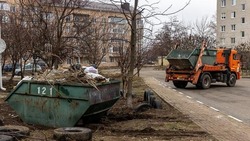 Число обращений, касающихся вывоза мусора, выросло в Белгородской области