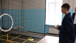 Приручили электронную «птичку»