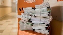 Вячеслав Гладков — о сборе 62 тонны макулатуры в рамках акции «Чисто СВОИ»