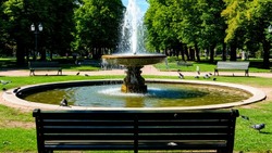 Белгородцы отдали уже более 140 тысяч голосов за дизайн-проекты благоустройства