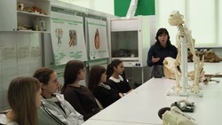 Какие перспективы перед школьниками открывает проект «Билет в будущее»