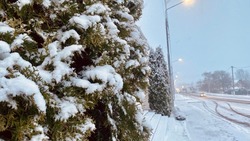 Первый снег выпал в Корочанском районе