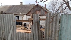 Три белгородца пострадали при атаках ВСУ за минувшие сутки