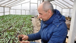 Корочанский фермер Андрей Шляхов: «На кону стоит не просто здоровье – жизнь»