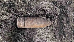 Очевидец обнаружил взрывоопасный предмет в корочанском селе Шляхово