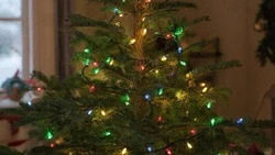 Масштабно, душевно, интересно. Итоги 2025 года