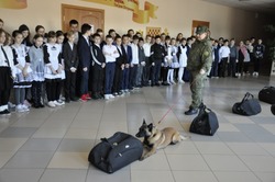 Корочанские школьники узнали о работе белгородской таможни и познакомились со служебными собаками