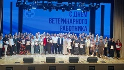 Работники ветеринарной отрасли Корочанского района получили награды