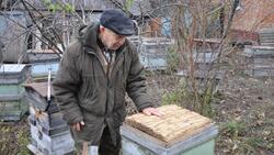 Деревенская закалка. Как пчёлы навсегда изменили жизнь Александра Кощукова из Алексеевки