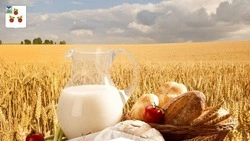 Нестеров поздравил корочанцев с Днём работника сельского хозяйства и перерабатывающей промышленности