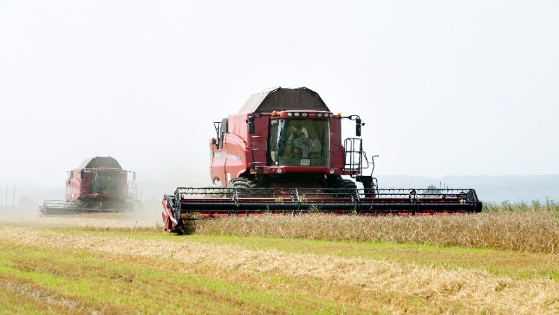 Белгородские аграрии засеяли зерновыми и зернобобовыми культурами более 90% отведённых площадей