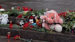 Член общественного совета Евгения Кондратюк сообщила о сборе 17 млн рублей пострадавшим при обстрела