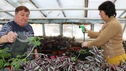 Сотрудники ООО «Благоустройство» приводят в порядок Корочу и готовятся к озеленению