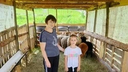 Жительница корочанского села Анновка благодаря соцконтракту развивает личное подсобное хозяйство