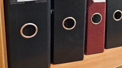 Решение Земского собрания Шеинского сельского поселения от 29 октября 2024 года №66