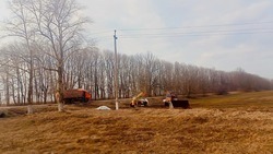 Весенне-полевые работы начались в Корочанском районе