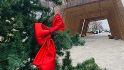 Благоустроенные по ФКГС общественные пространства станут участниками конкурса «Ёлки России»