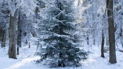 Белгородцам доступно более 600 зимних маршрутов для путешествий по России