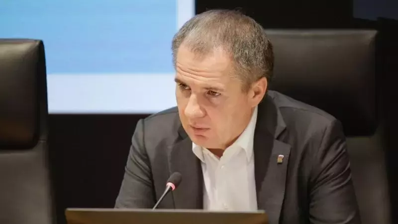 Вячеслав Гладков ознакомился с разработкой комплексных мер по развитию экономики региона