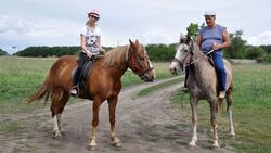 Статные и грациозные. Чем привлекают лошади в Корочанском районе москвичку Яну Сахнову