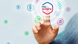 Новые онлайн-сервисы для участников СВО из Белгородской области стали доступны на «Госуслугах»