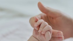 Белгородские власти выделят более 90 млн рублей на выплаты при рождении двойни или тройни