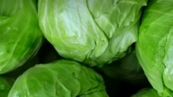 Вячеслав Гладков опубликовал список цен на капусту белокочанную в Белгородской области