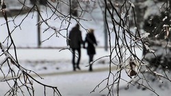 Потепление ожидается на территории Белгородской области 