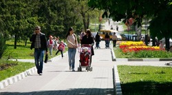 Соцфонд рассказал жителям Белгородской области об увеличении размера единого пособия в 2025 году