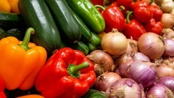 Сельскохозяйственная ярмарка пройдёт в Короче 6 сентября